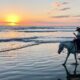 horseback riding at sunset in Santa Teresa, Costa Rica.