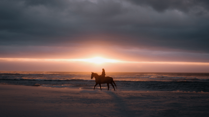 Santa Teresa Costa Rica travel guide — aerial view of the beach